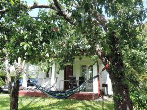 holiday home, Miedzyzdroje